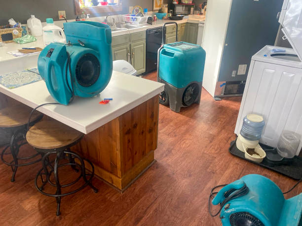 Best Carpet water damage restoration  in Laurel, MD