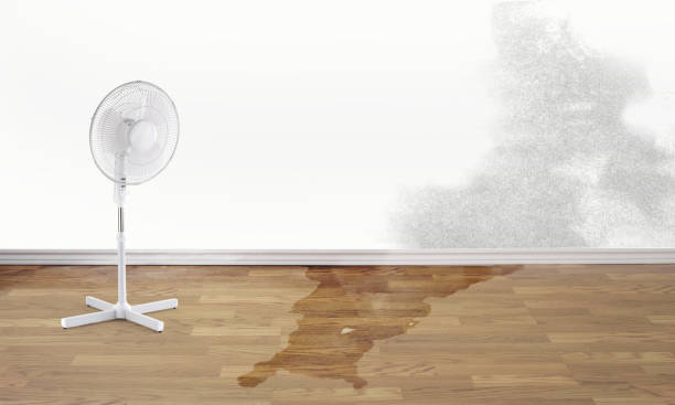  Laurel, MD Water damage restoration Pros