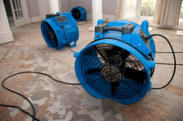 Best Flood damage cleanup  in Laurel, MD