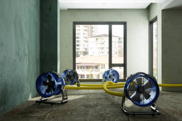 Best Basement water damage restoration  in Laurel, MD
