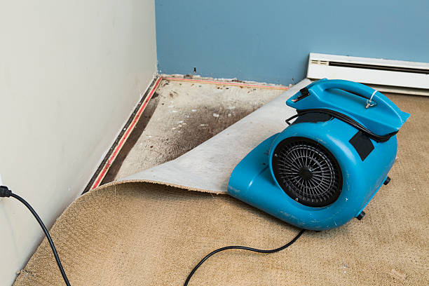 Best 24/7 water damage repair  in Laurel, MD